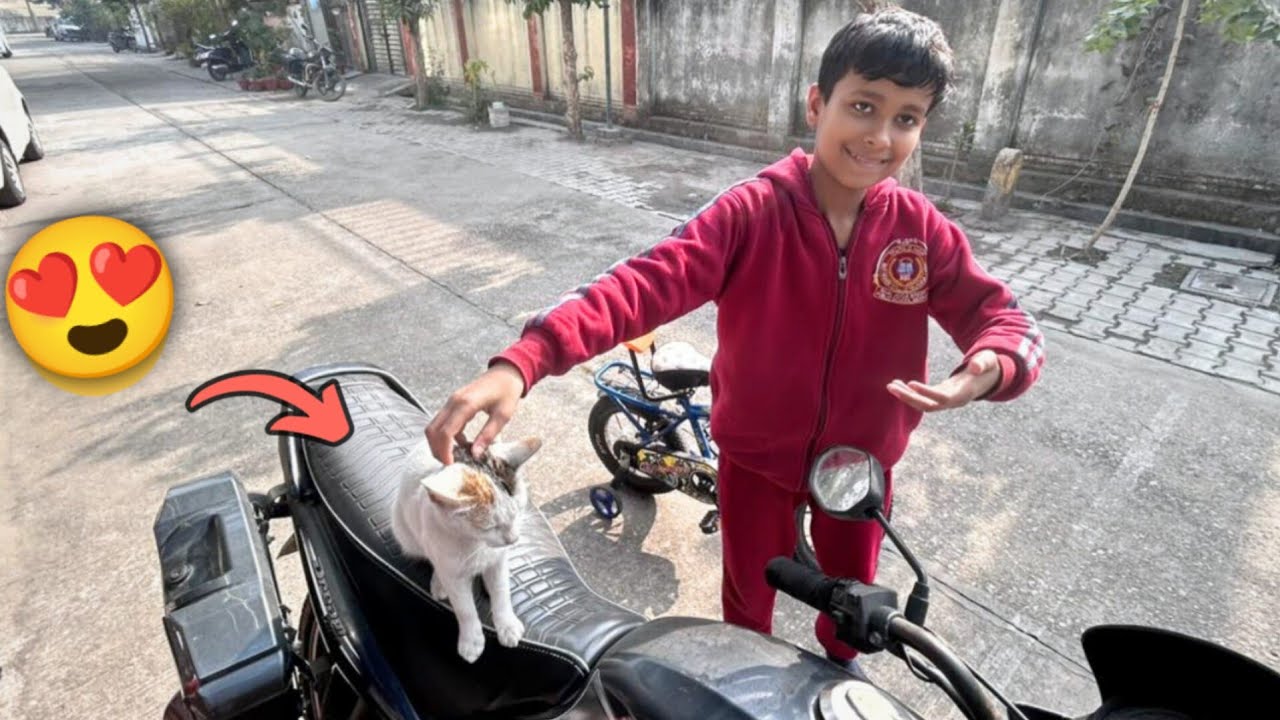 Itni Sundar Billi Kahan Se Agyi 😍