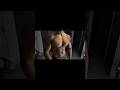 Handsome guy gym show off muscles (1592) #boygym #muscle #shorts