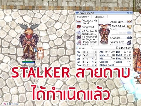 ro rogue สายมีด  2022 New  ด๊อกแชงค์ LIVE RO  -  STALKER สายดาบ ได้ถือกำเนิดแล้ว