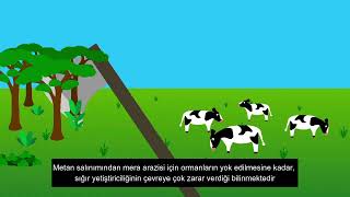 Rejeneratif Tarım Nedir? Yenileyici Tarım