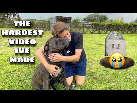 RIP MY DOG....