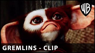 Do You Want To Find Something Weird? Go Downtown Gremlins 2 The New Batch Warner Bros. Uk