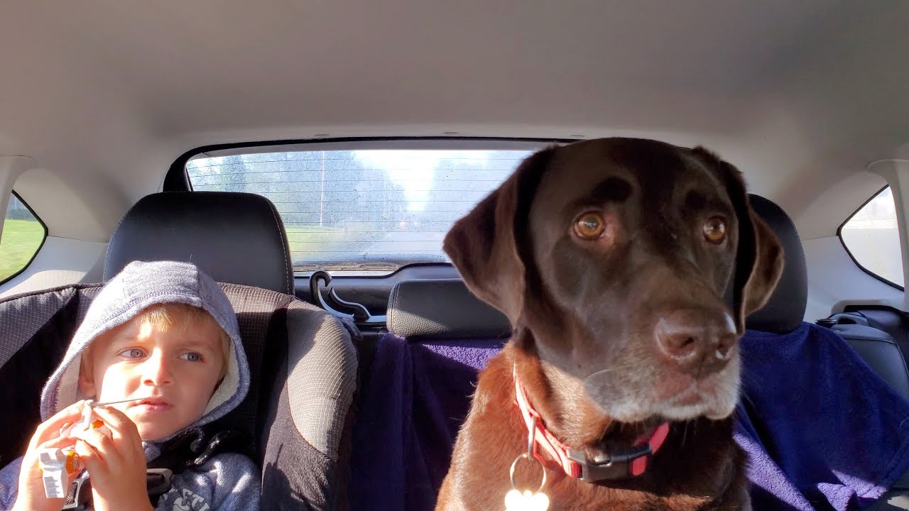 Roxy's Injury Is Worse Than They Thought