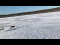 Гусиное болото превратилось в замерзшее озеро!