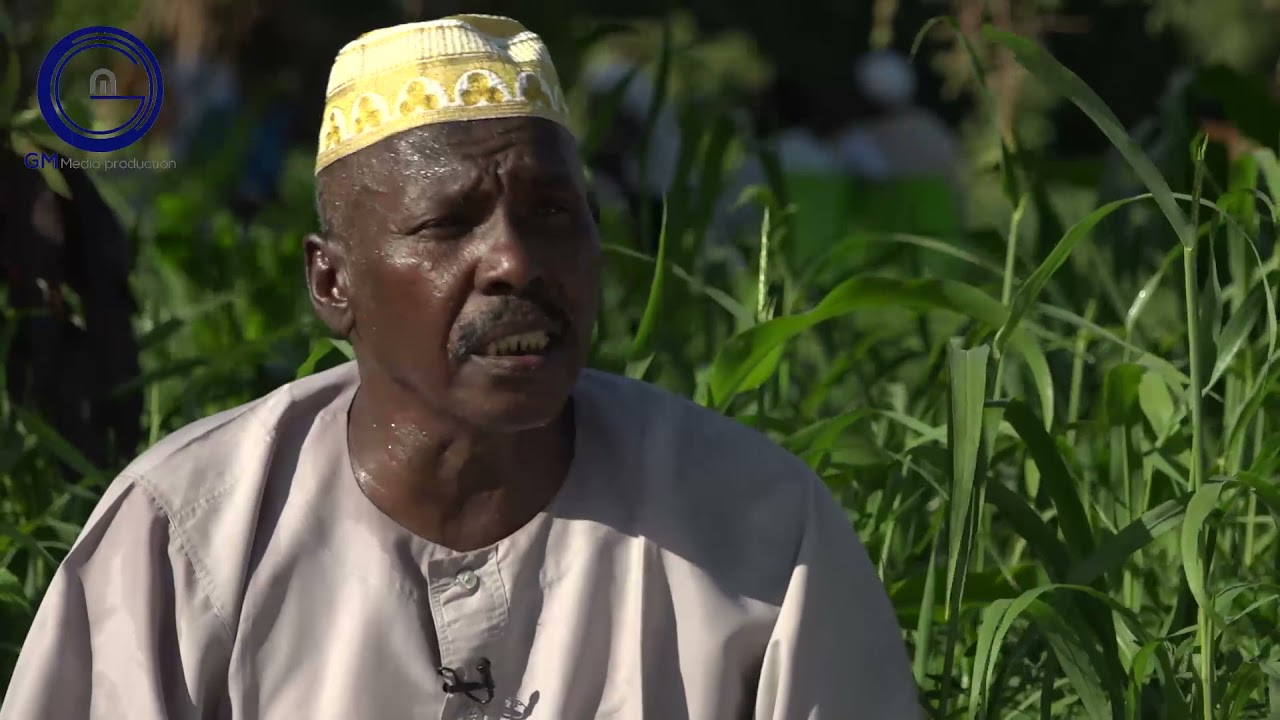 برنامج غناوينا.. سياحة في منحنى النيل (الموسم الأول)