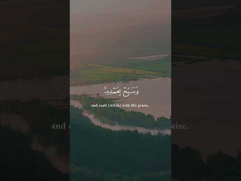 وتوكل على الحي الذي لايموت القارئ ادريس ابكر