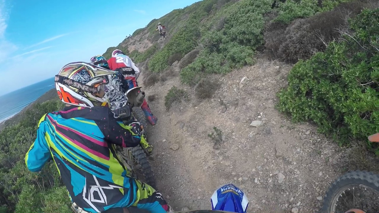 Partir mato na costa