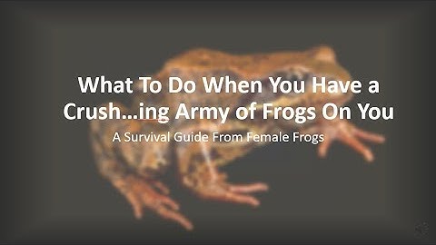 ff 0848962a30dcef6cc71802c0d7803d95 ff Frogs