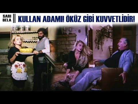 Sarı Bela Türk Filmi | Kullan Adamı Öküz Gibi Kuvvetlidir!