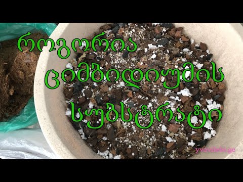 როგორი უნდა იყოს ორქიდეა ციმბიდიუმის სუბსტრატი