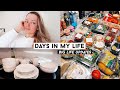 VLOG: living alone, life updates, healthy groceries haul