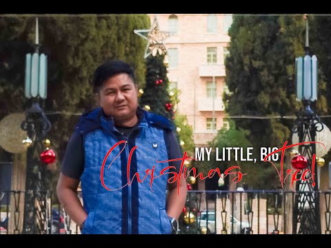 Video: Kung Saan Makakakuha Ng Isang Christmas Tree Para Sa Bagong Taon