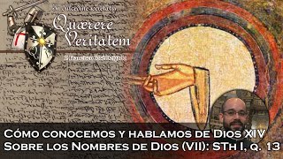 Sobre los Nombres de Dios (VII): STh I, q. 13 - Quaerere Veritatem 63