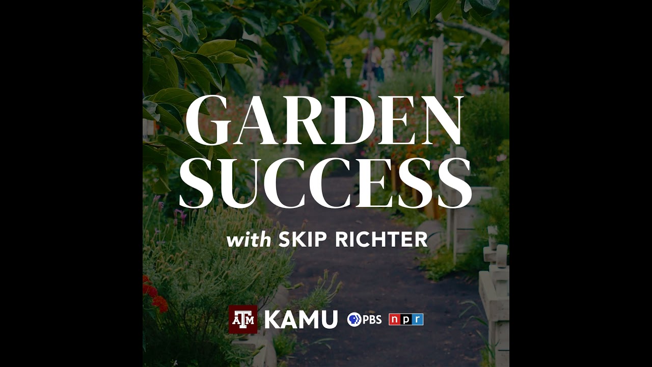 Garden Success – 6/6/2024: Q&A With Skip Richter & Stephen Brueggerhoff