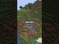 This Minecraft server lets you choose a spirit #gaming #shorts