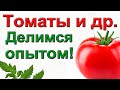 Коллективный опыт садоводов  Как помочь себе и другим