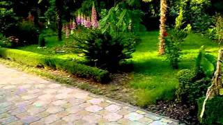 Adler.znanie2011.Mp4