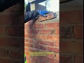 Bricklaying Precision at Its Finest! #brickwork #masonry #construction
