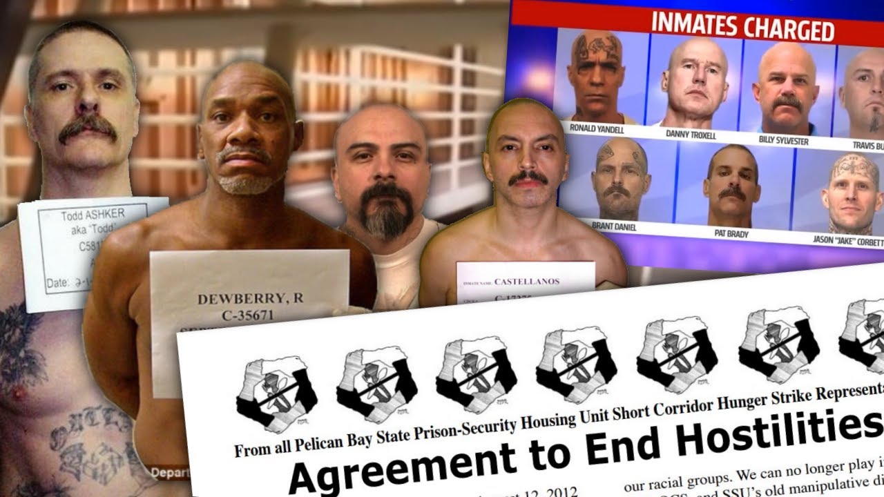 HOSTILITIES: The Aftermath of the California Prison Hunger Strike Movement (Unrestricted Version)