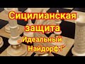 Сицилианская защита. ,,Идеальный Найдорф "