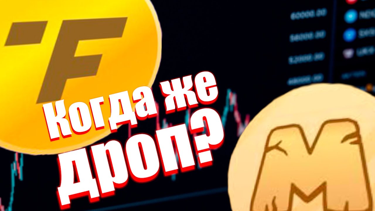 MEMEFi & TRUECOIN - ПОТЕНЦИАЛЬНЫЙ ДРОП