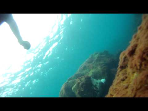 Snorkeling In The Azores Youtube