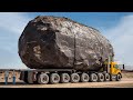 Amazing Biggest Heavy Equipment Agriculture Machines, Powerful Modern Technology Machinery #101