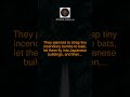 The Bat Bomb | #shorts #weirdinventions