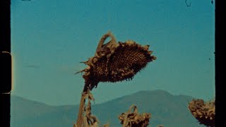 Download Lagu ETS - ZURE ORBAINA MP3