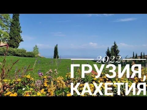 2022 Кахетия, Алазанская долина, Грузия