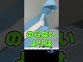 #shorts【コーキングのやり方】誰でもできる綺麗に仕上げるコツ！ #diy #道具 ＃水回り工事