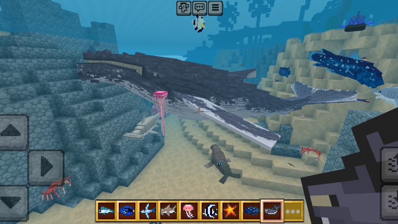 NEW Ocean Expansion Addon in Minecraft PE - YouTube