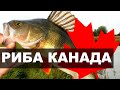 # 3.35 Спортивна риболовля в Канаді (провінція Онтаріо)