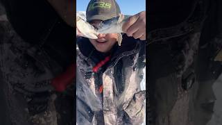 Catching Eater Lake Trout Ice Fishing Colorado Amazing Place To Fish
