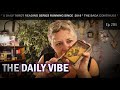 The daily vibe  backfire  daily tarot reading