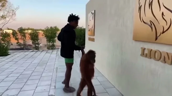 Ishowspeed meets his new gf (monkey)