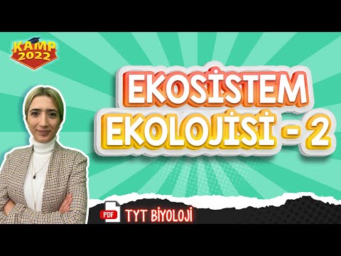 Ekosistem Ekolojisi - 2 | TYT Biyoloji #Kamp2022 #tyt2022BİO16