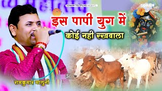 इस पापी युग में गौ माता का कोई कोई रखवाला | गुरुजी रामकुमार मालुनी के भजन | Gau Mata Bhajan 2025