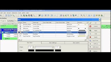 Primavera P6 to hide summary bars