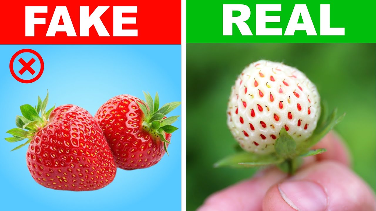 Which One is REAL FRUIT | In Hindi | I Know More