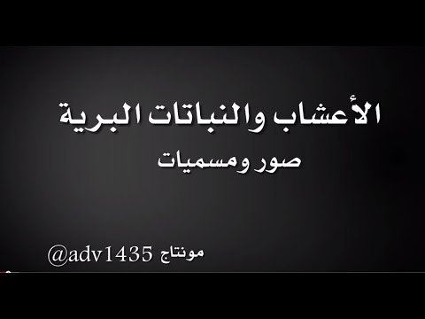 فيديو: ما هي الأسماء المحلية للأراضي العشبية المعتدلة؟