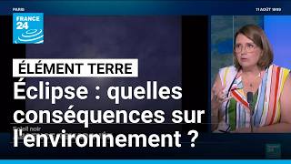 Éclipse solaire : quelles conséquences sur l'environnement ? • FRANCE 24