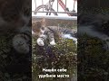ну а что мне так хорошо