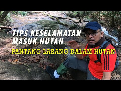 Pendakian Solo dan Tip Pendakian - Solo Hike and Tips Hiking Malaysia [ENG SUB]