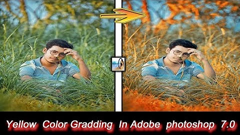 yellow colour grading in photoshop 7.0/photoshop color grading tutorial/Pic Short