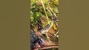 Easy rigs. Smooth and simple. #arbortec #arborist #rigging #chainsaw