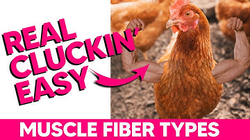 Muscle Fiber Types I, IIa, IIx (Super Easy Mnemonics)