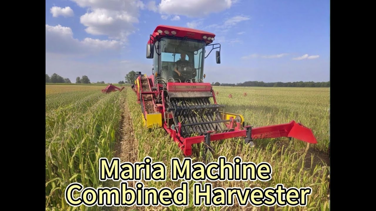 New designed Garlic harvester 4DS-128A ；Cosechadora de ajos de nuevo diseño 4DS-128A