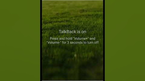 how to play cricket game with talkback for blind users