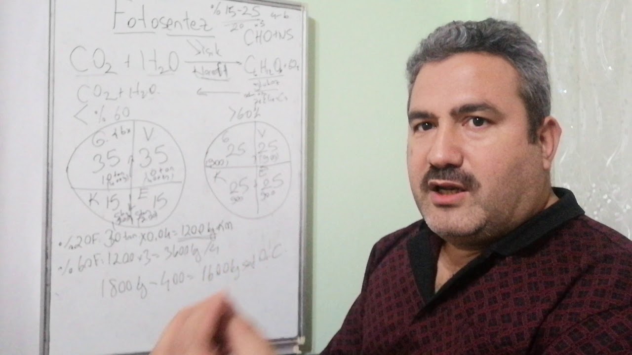 Fotosentez kapasitesi arttırılarak verim kalite ve  toprak organik maddesi nasıl yükseltilir